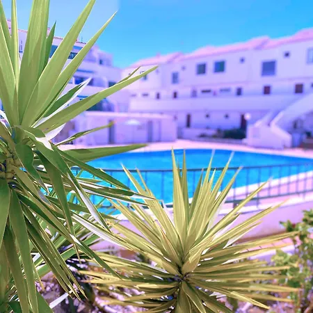 Tropicalidays Sunset Palm * طوستا ديل سيلونثيو