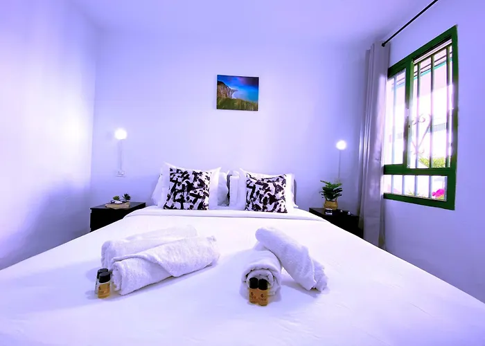 Tropicalidays Sunset Palm *