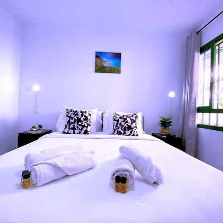 Tropicalidays Sunset Palm *